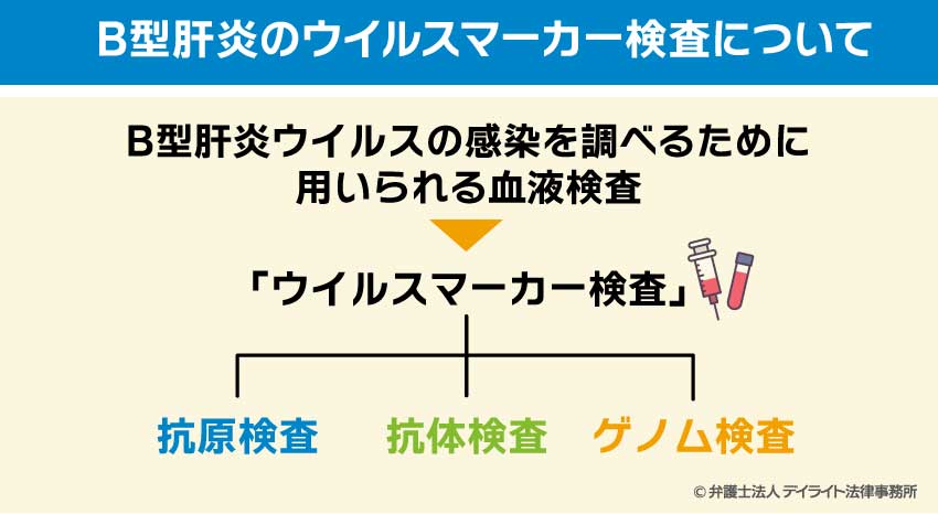 B型肝炎のウイルスマーカー検査について