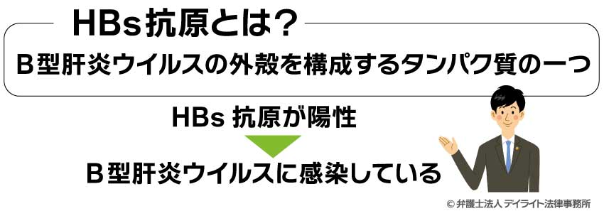 HBs抗原とは