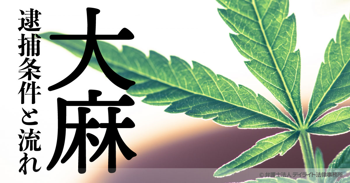 大麻で逮捕されるケースとは？逮捕条件や流れを弁護士が解説！ 刑事事件の相談はデイライト法律事務所